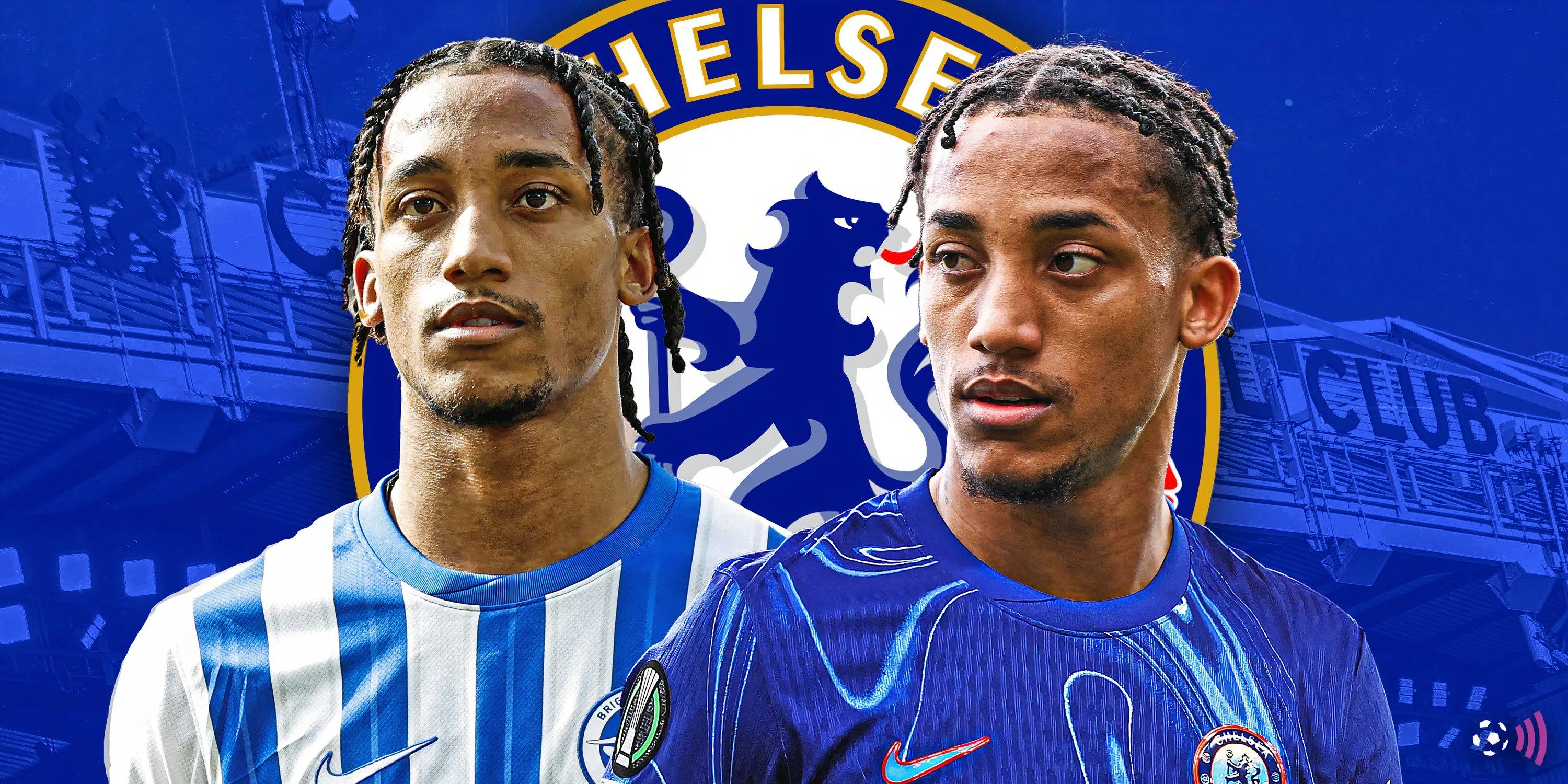 Joao Pedro của Brighton, một cái tên khác được Chelsea quan tâm cho vị trí tiền đạo