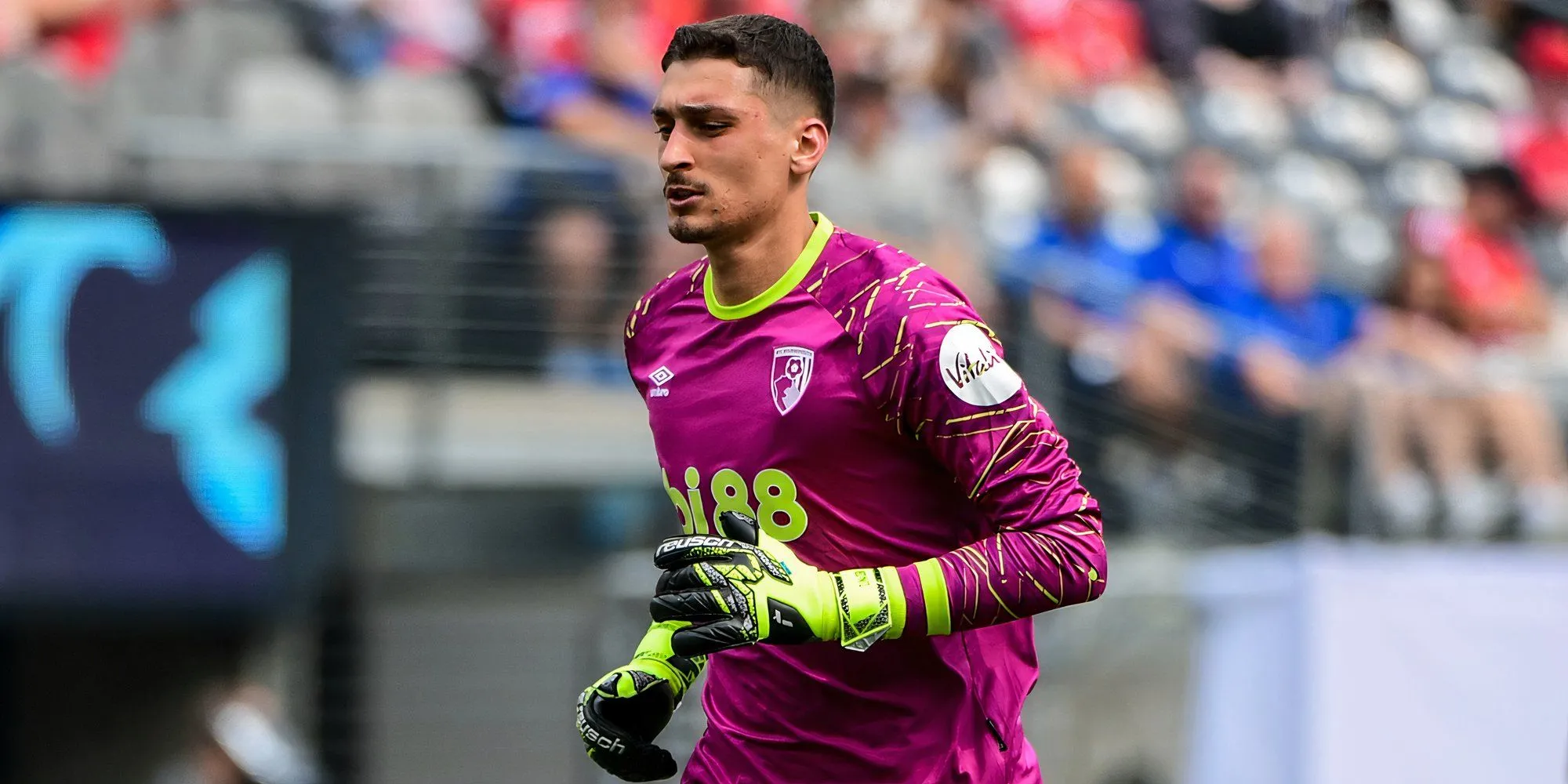 Dorde Petrovic thủ thành Bournemouth trong mùa giải Premier League