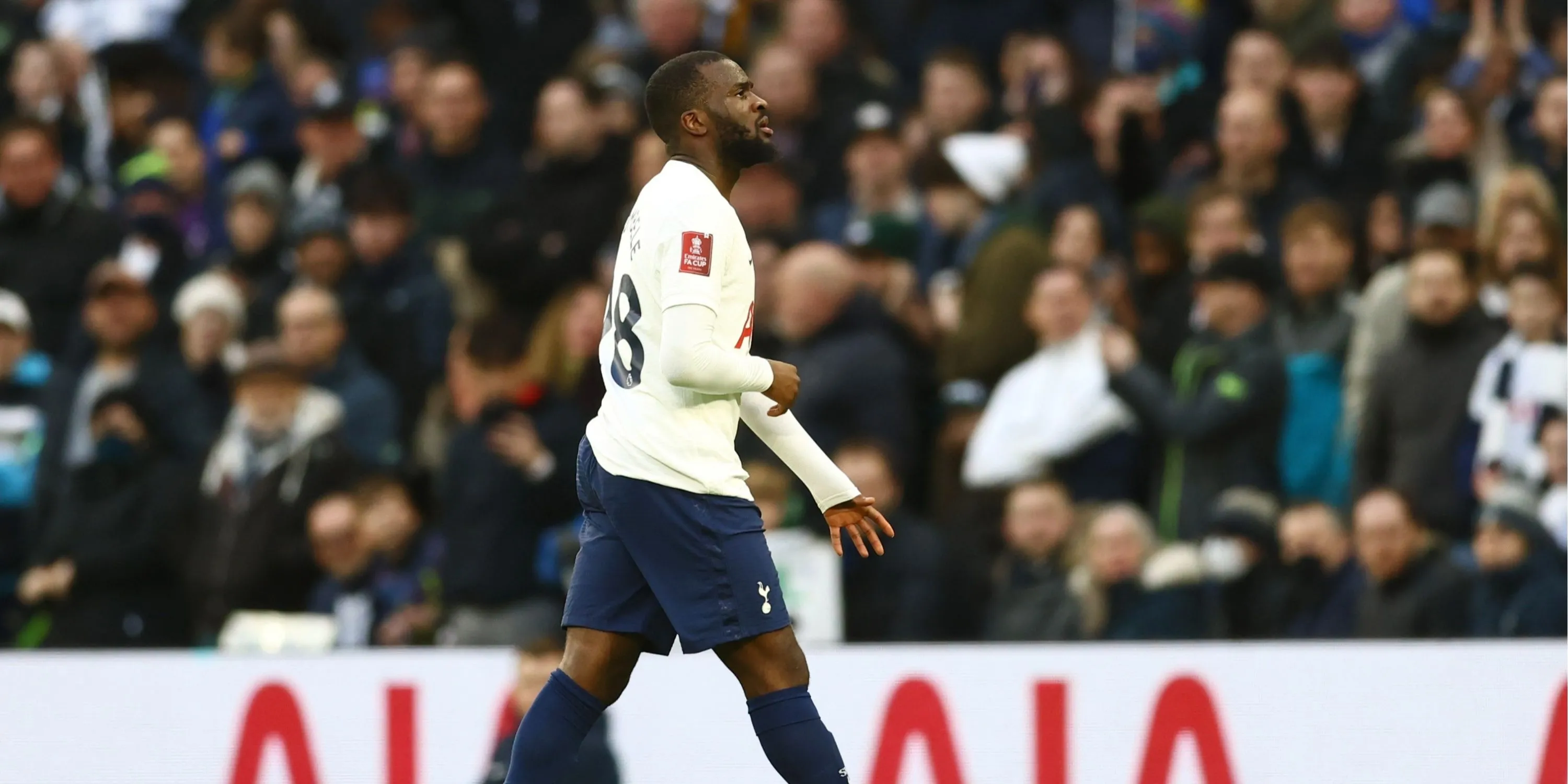 Tanguy Ndombele, cựu tiền vệ của Tottenham Hotspur tại sân cỏ